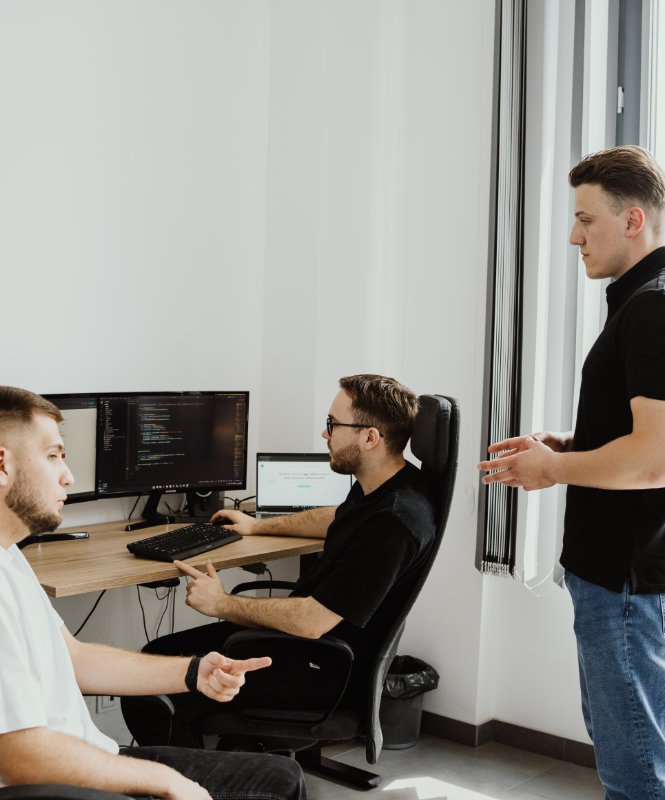 Sopchy Software House team planning online store implementation