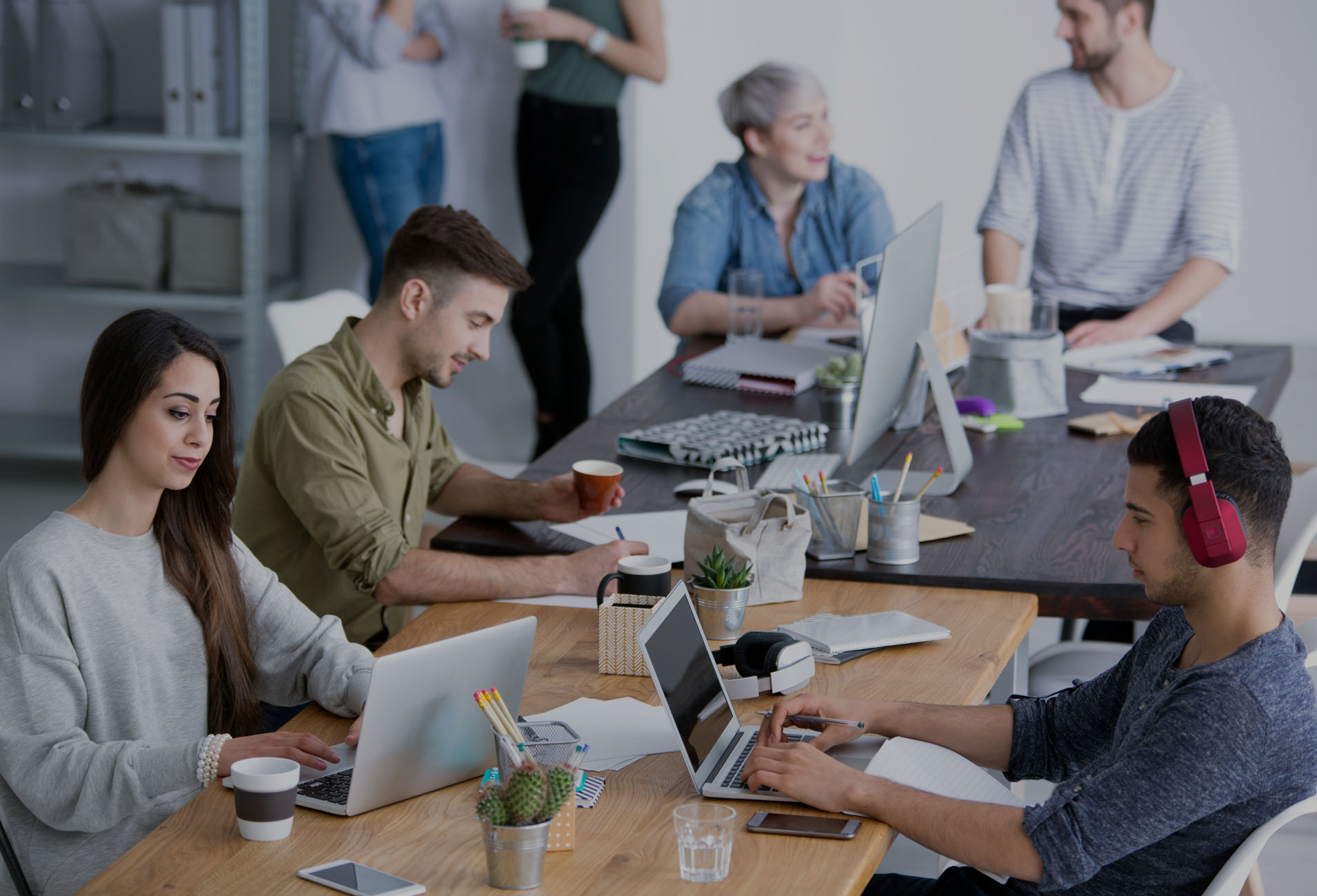 The customer of software house