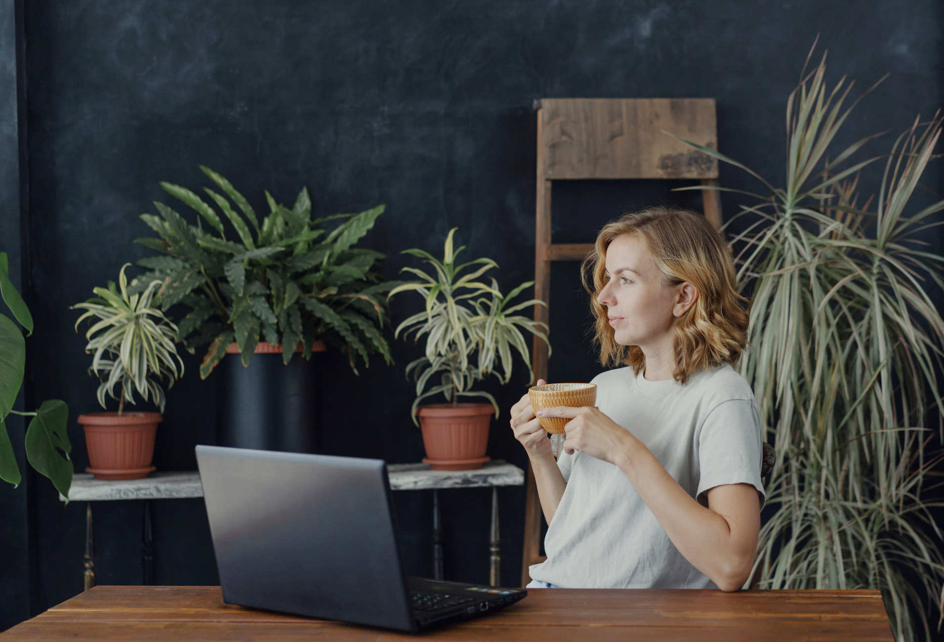 Software house - discovery call